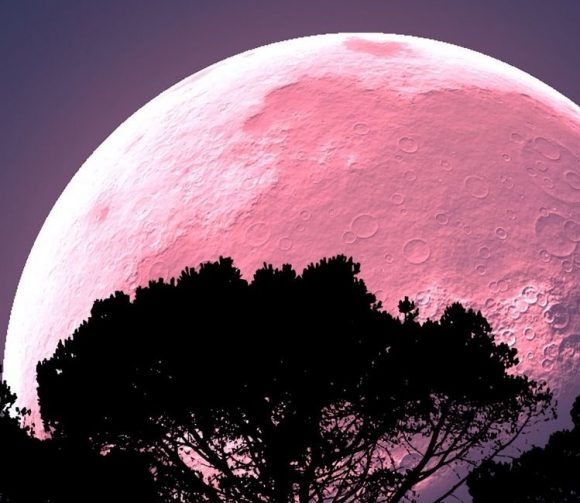¿Por qué le llaman Súper Luna Rosa?