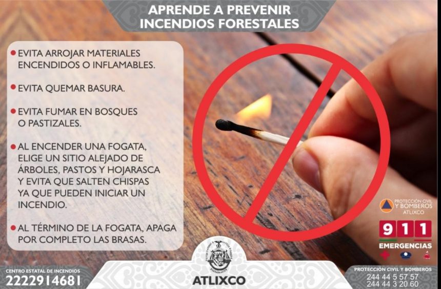 PC emite una serie de recomendaciones para prevenir los incendios forestales