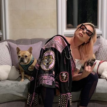 Arrestan a implicados en secuestro de mascotas de Lady Gaga