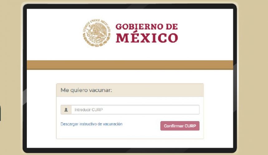 1612293727_567482_1612295607_noticia_normal Registro de vacunación contra Covid-19 solo está abierto para mujeres embarazadas: López-Gatell