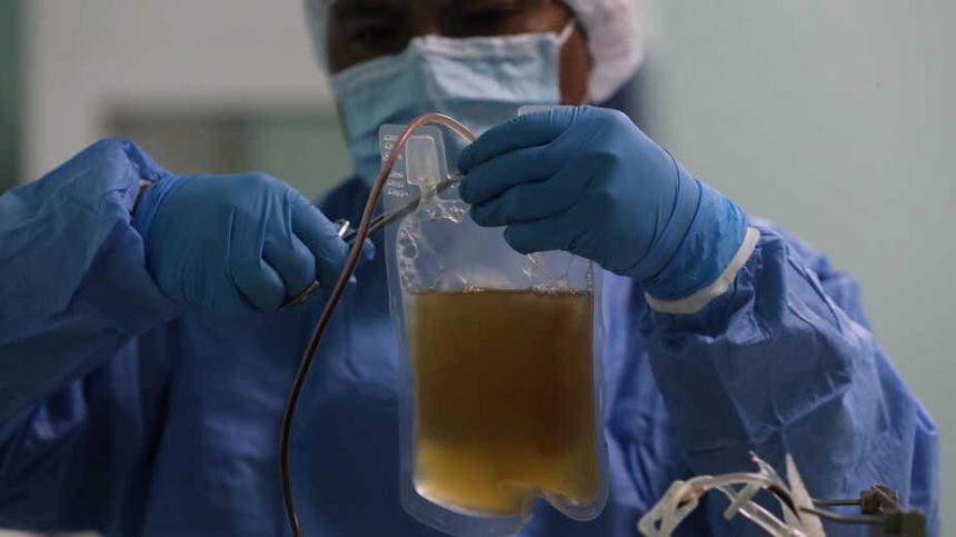 2021-05-19_08-05-22___9663 (1) Suero de plasma de burros, la nueva apuesta de Bolivia contra la COVID-19