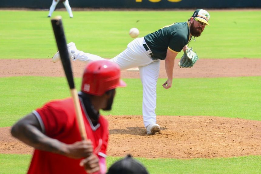 Los Pericos de Puebla cayeron ante Veracruz en el segundo de la serie de pretemporada