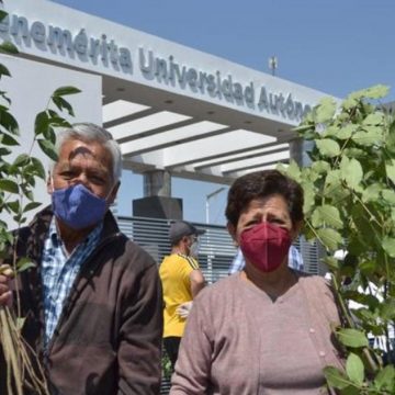 Inicia BUAP entrega de especies de la campaña Adopta un árbol