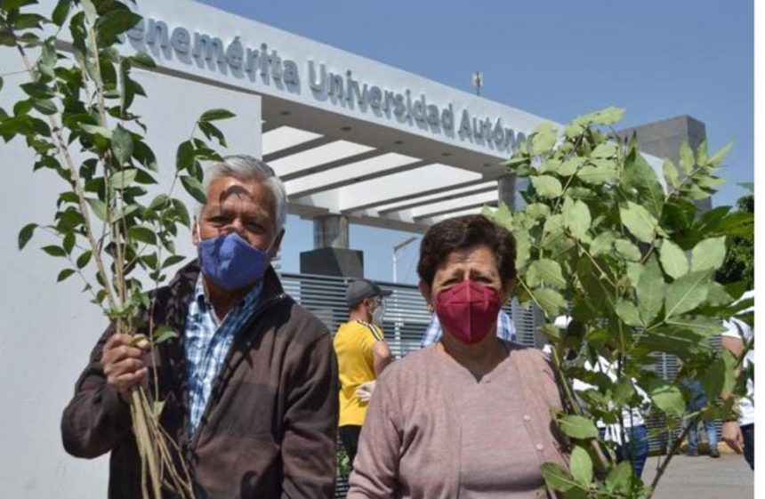 Inicia BUAP entrega de especies de la campaña Adopta un árbol