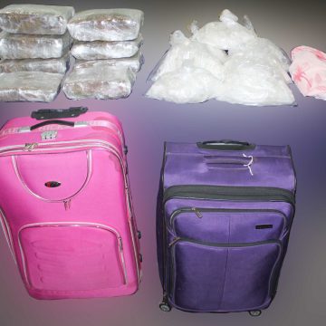 Aseguran 15 kgs de marihuana en la terminal de autobuses CAPU