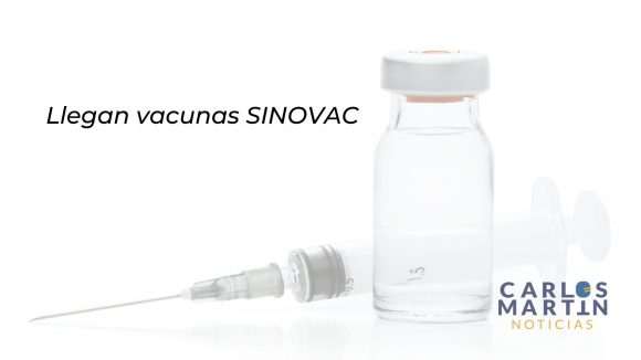 Naranja Perros Bonitos Mascota Foto Collage-6 Segunda dosis de vacuna Sinovac se aplicará a partir del martes 11 Mayo