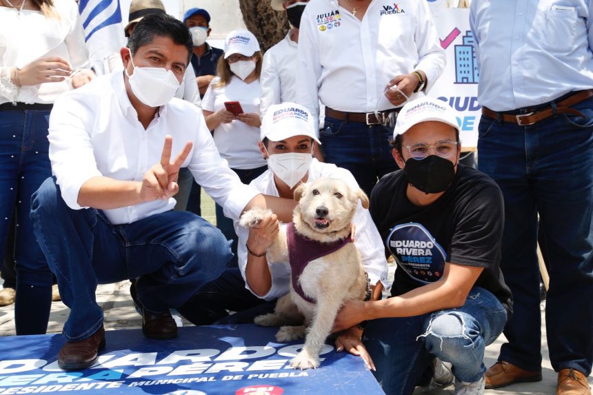 Eduardo Rivera bienestar animal CMH Eduardo Rivera Pérez implementará campaña de bienestar animal