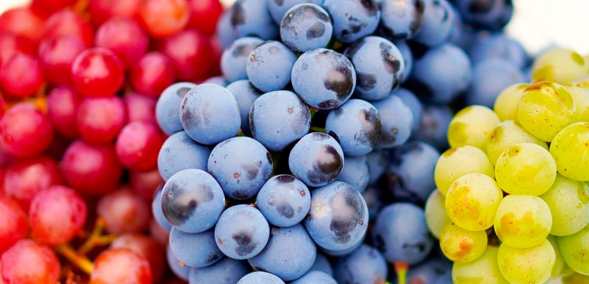El precio de la uva se ha elevado en un 30% en la capital poblana