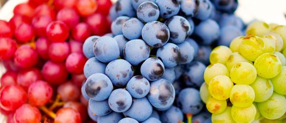 ¿Qué sucede en mi organismo al comer uvas?