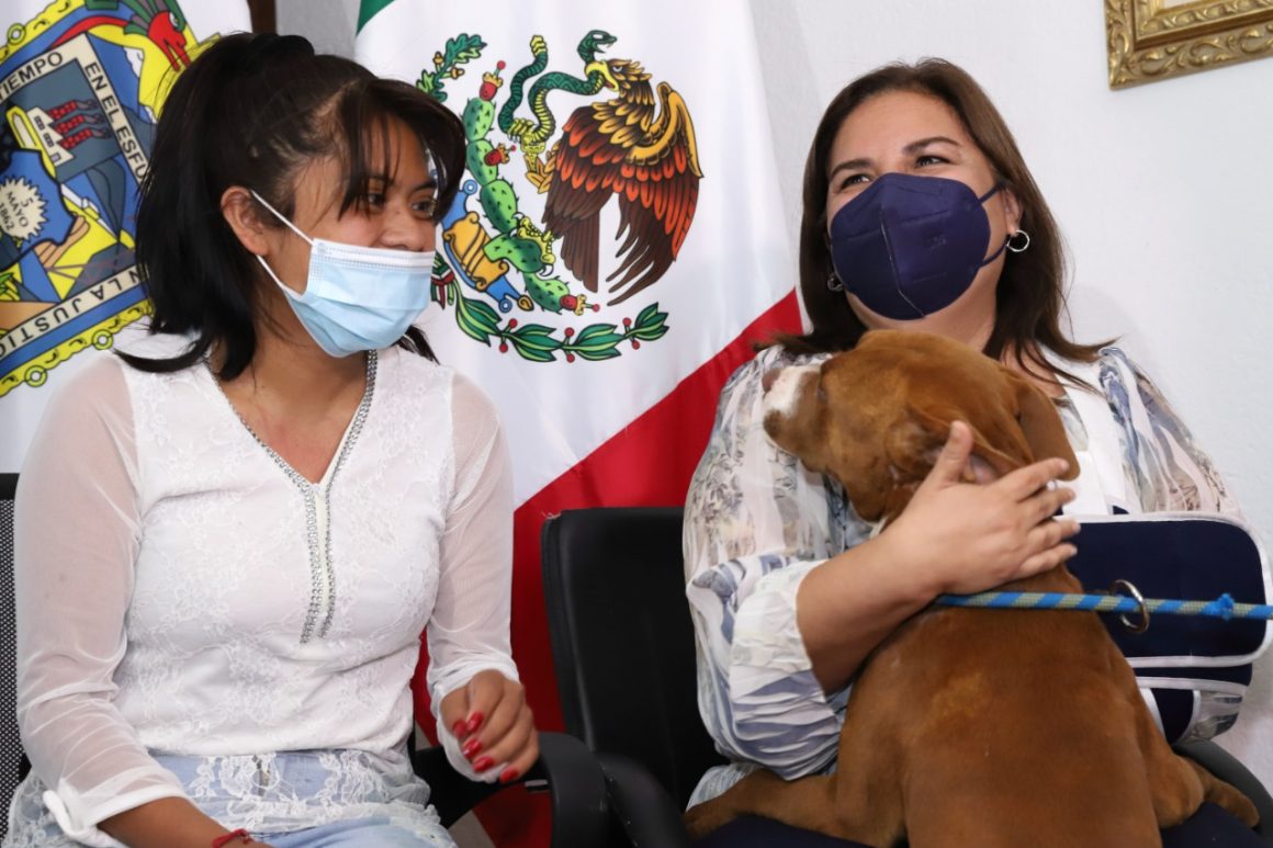 “Spay”, el can que cayó al socavón, entregado a su familia