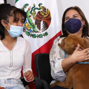 “Spay”, el can que cayó al socavón, entregado a su familia