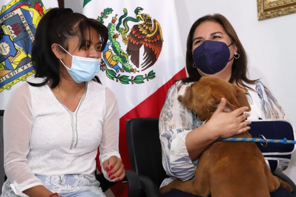 “Spay”, el can que cayó al socavón, entregado a su familia