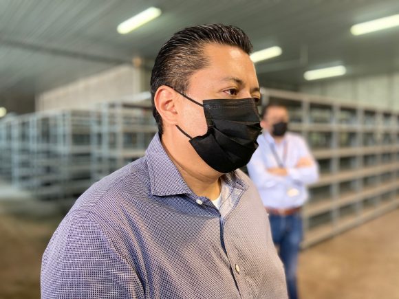 Presenta IEE 11 denuncias por robo y quema de urnas