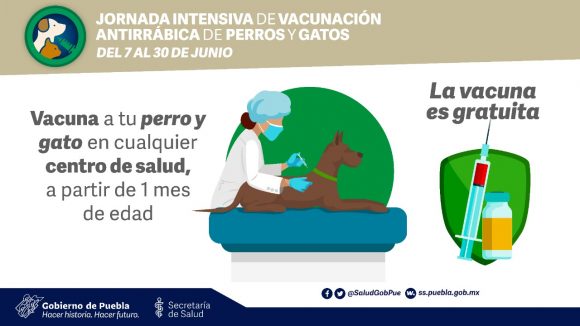 Continúa Salud con campaña antirrábica en Puebla