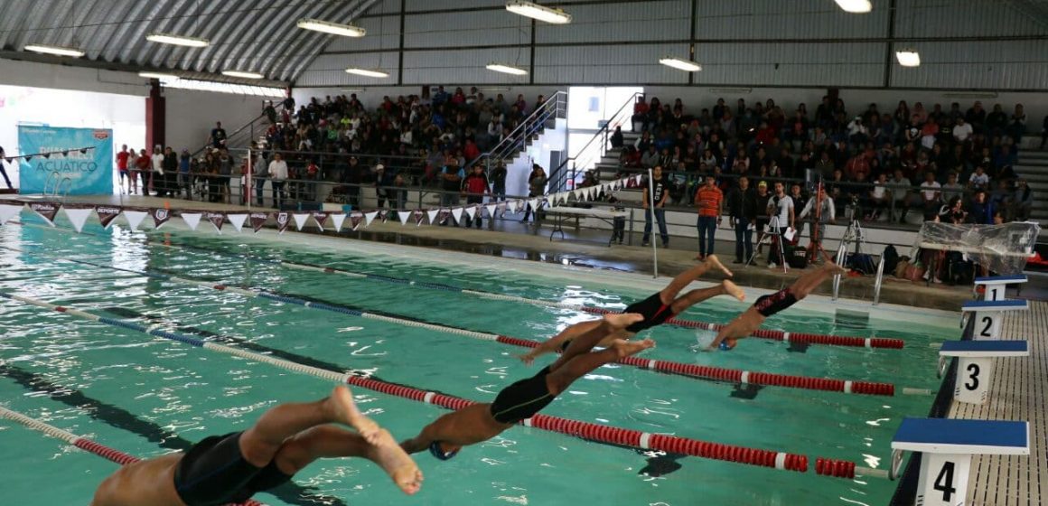 Deporte Municipal invita a participar en campeonatos deportivos de atletismo, natación y basquetbol