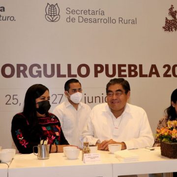 Gobernador enviará iniciativa al Congreso para incrementar la penalidad contra conductores alcoholizados