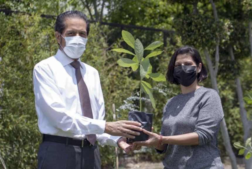 Entrega Rector Alfonso Esparza más de 800 especies con “Adopta un árbol”