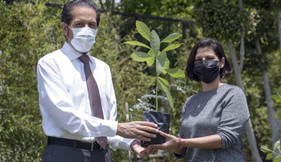Entrega Rector Alfonso Esparza más de 800 especies con “Adopta un árbol”