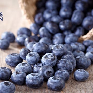 Blueberry, arándanos o moras azules, conoce sus beneficios