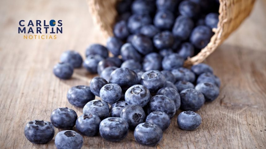 Blueberry, arándanos o moras azules, conoce sus beneficios