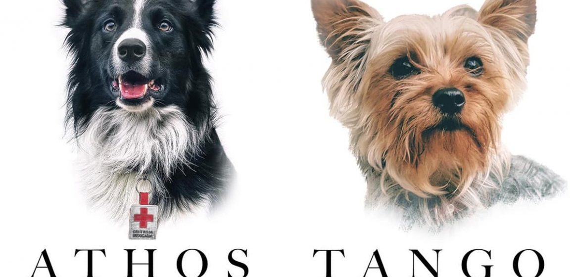 Asesinan a Tango y Athos, 2 perritos rescatistas en el terremoto 2017