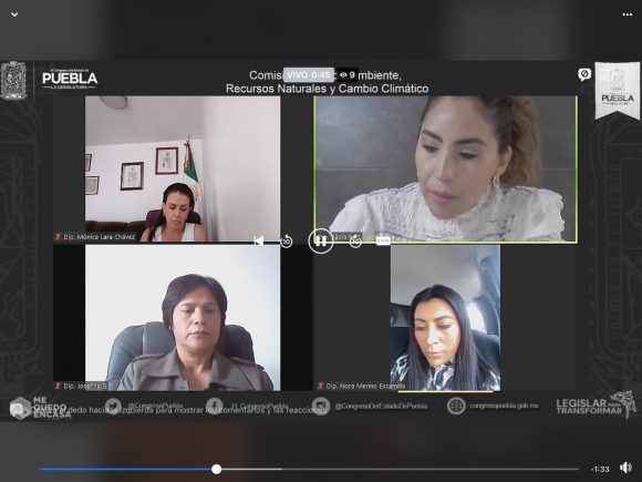 Aprueba Comisión de Medio Ambiente de la LX Legislatura reforma para fomentar techos verdes