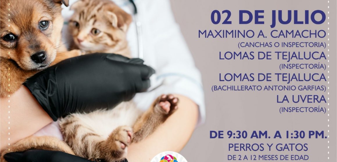 Ayuntamiento de Atlixco exhorta a participar en la Jornada de Vacunación antirrábica Canina y Felina; concluye el 06 de julio