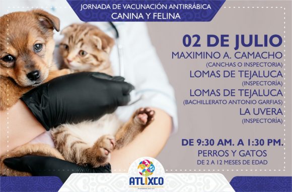 Ayuntamiento de Atlixco exhorta a participar en la Jornada de Vacunación antirrábica Canina y Felina; concluye el 06 de julio