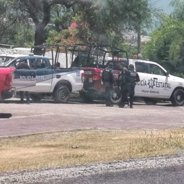 Localizan restos de un cráneo frente al panteón municipal de Chietla