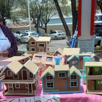 (FOTOS) Abuelita intercambia casas de cartón por despensas; se vuelve viral en redes