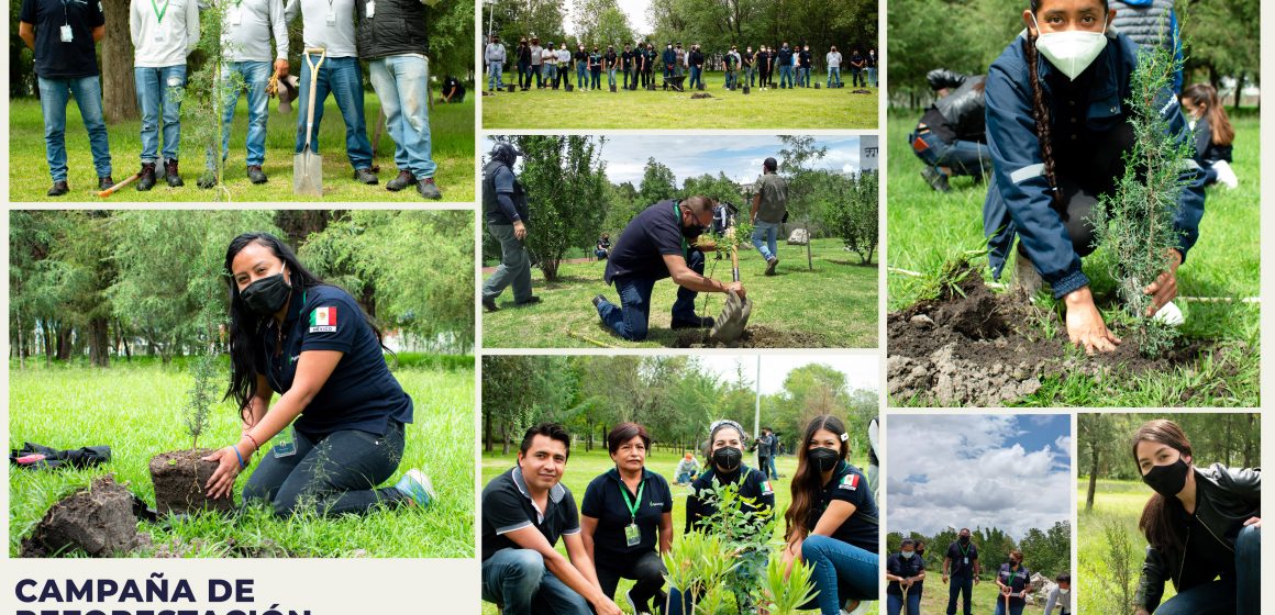Reforesta Agua de Puebla 16 mil metros cuadrados de áreas verdes en distintos puntos de la ciudad