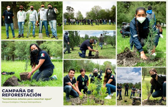 Reforesta Agua de Puebla 16 mil metros cuadrados de áreas verdes en distintos puntos de la ciudad