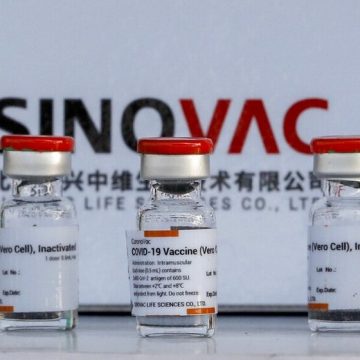 Vacuna SinoVac necesitaría una tercera dosis; anticuerpos caen en 6 meses revela estudio