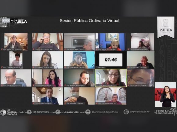 Congreso del Estado, aprueba reformas de Ley, para evitar la venta de animales a menores de 18 años