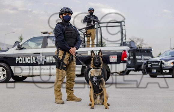 En los últimos 7 días, detuvo policía municipal de Puebla a 80 personas