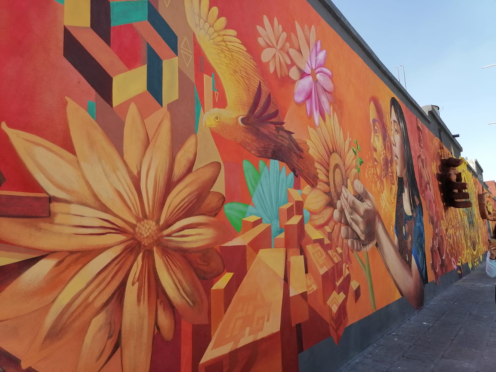 Como Entrar Al Mural De Reddit