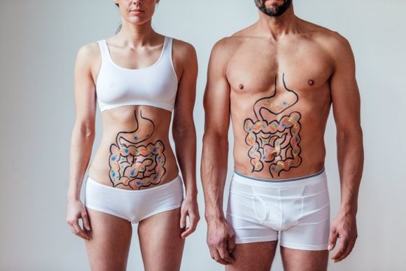 ¿Por qué llaman al intestino “el segundo cerebro”?
