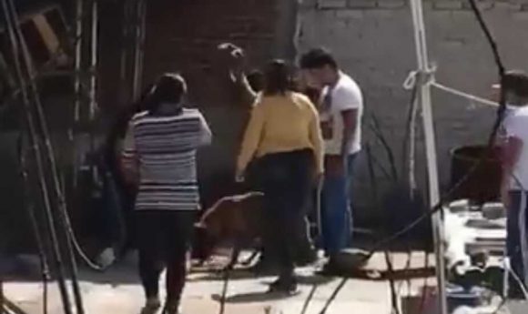 Familia en Tlalnepantla tortura y mata a su perro con palos y piedras