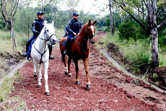 Actual gobierno acabó con tala y permisos de fraccionamientos en Flor del Bosque: Barbosa