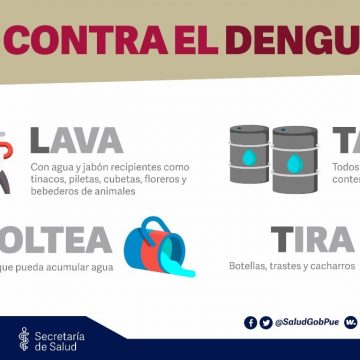 Exhorta Salud mantener las acciones contra el dengue