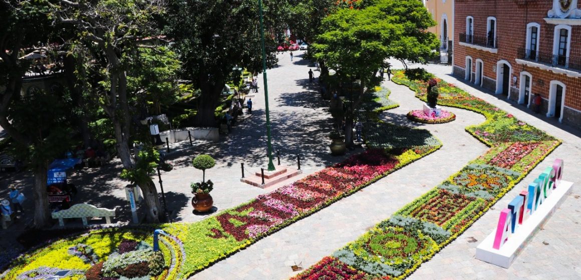 Coloca Atlixco tradicional Tapete Monumental de Flores