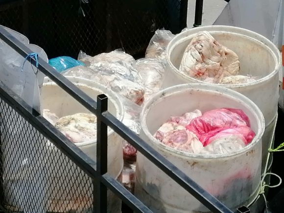 Rastro de Puebla descarga miles de litros de sangre y vísceras al río Atoyac