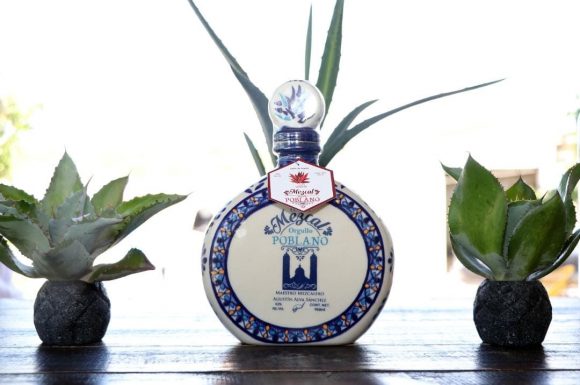 Promueve SDR Ruta del Mezcal entre turismo español