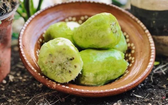 Tuna 1 ¡Deliciosa tuna! Una fruta muy mexicana