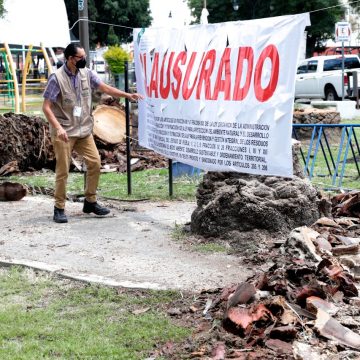 Clausura la tala de arboles el Gobierno Estatal al Ayuntamiento