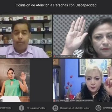 Avala Comisión del Congreso exhorto para difundir acciones de estimulación temprana a menores con discapacidad y que las realicen desde el hogar