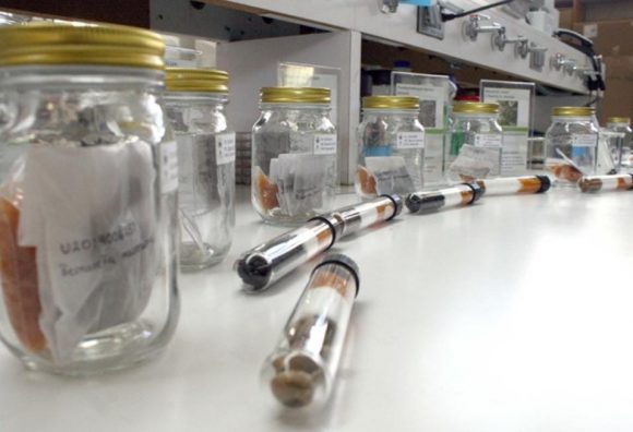 Herbario y Jardín Botánico BUAP, detonadores de la ciencia