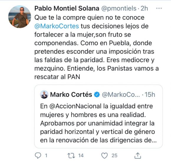 Panistas acusan intento de imposición y reelección de Genoveva Huerta