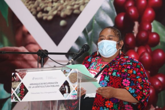 Apoyo al campo y combate a la corrupción, prioridad para los gobiernos de la 4T: Barbosa