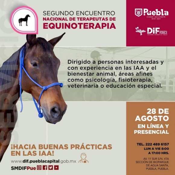 SMDIF realizó el Segundo Encuentro Nacional de Terapeutas de Equinoterapia